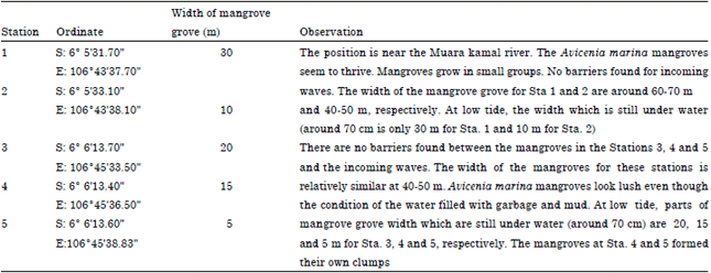 Image for - Wave Attenuation Using the Mangrove Avicenia marina as an Element  of Waterfront Construction