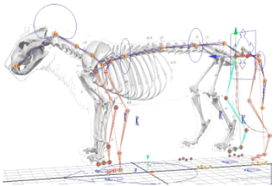 Image for - Automated Animation of Quadrupeds Using Procedural Programming Technique