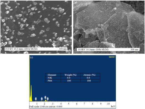 Image for - Direct Electrodeposition of Graphene and Platinum Based Alloys-Analysis by SEM/EDX