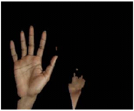Image for - Hand Gesture Based Control of Robotic Hand using Raspberry Pi Processor