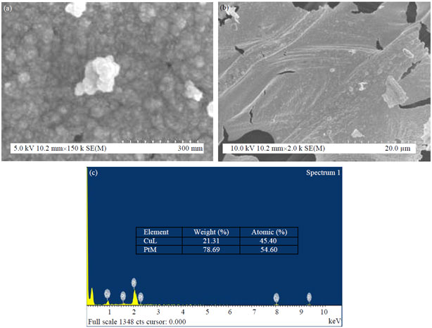 Image for - Direct Electrodeposition of Graphene and Platinum Based Alloys-Analysis by SEM/EDX