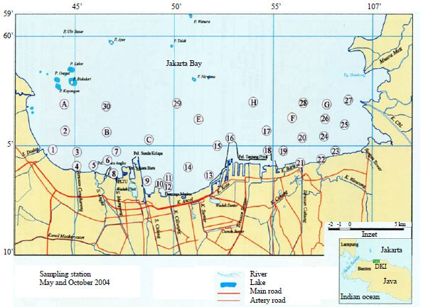 Image for - Jakarta North Coast Development Impact on Fishery Activities