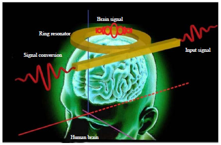 Image for - Spirit and Brain Signal Analogy for Brain Science Study