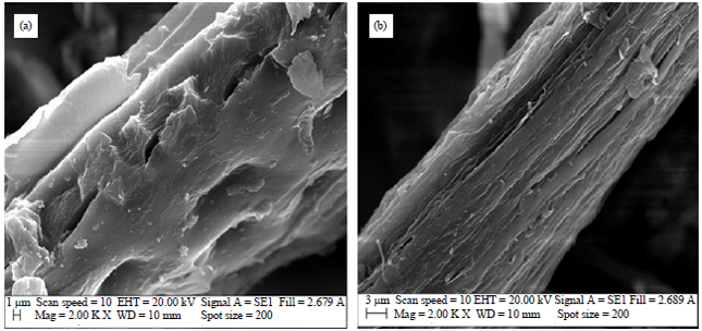 Image for - Microporous Activated Carbon Fiber from Pineapple Leaf Fiber by H3PO4 Activation