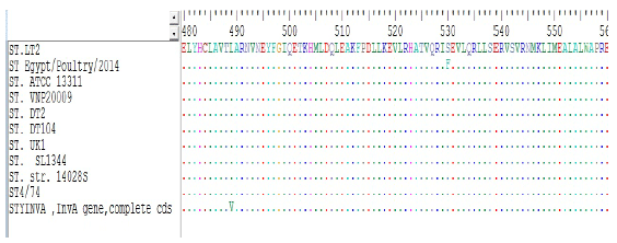 Image for - InvA Gene Sequencing of Salmonella typhimurium Isolated from Egyptian Poultry