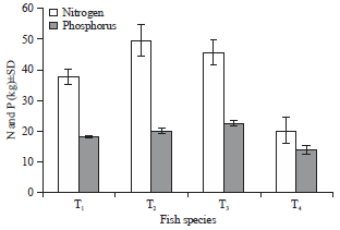 Image for - Nitrogen and Phosphorus Waste Production from Different Fish Species Cultured at Floating Net Cages in Lake Maninjau, Indonesia