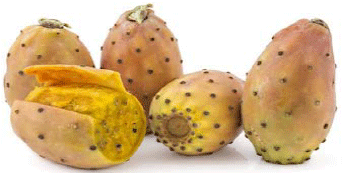 Image for - Nanoencapsulation of Bioactive Compounds Extracted from Egyptian Prickly Pears Peel Fruit: Antioxidant and Their Application in Guava Juice