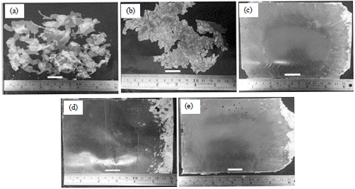 Image for - Preparation of Biodegradable Stereocomplex Polylactide Films by Compression Molding Using Poly(ε-caprolactone-co-L-lactide) Copolyester as a Film Former