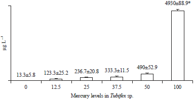 Image for - Effect of Mercury (HgCl2) Sub-chronic Doses Exposure in Tubifex sp.