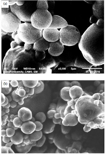Image for - Microencapsulation of Date Seed Oil by Spray-drying for Stabilization of Olive Oil as a Functional Food