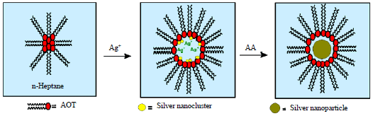Image for - Synthesis Pathway and Powerful Antimicrobial Properties of Silver Nanoparticle: A Critical Review