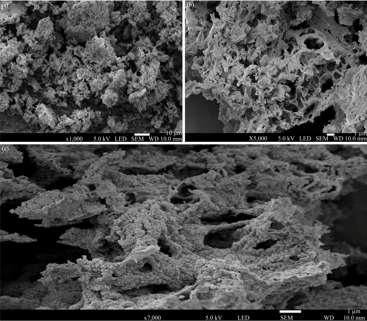 Image for - Green Synthesis of Nickel Oxide (NiO) Nanoparticles Using Spirostachys africana Bark Extract