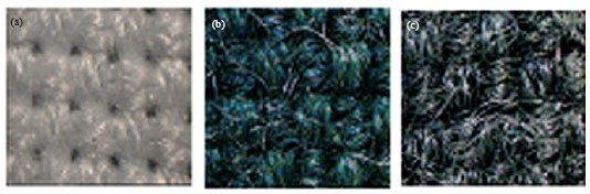 Image for - A Polyanizidine Coated Textile: Elaboration and Characterization