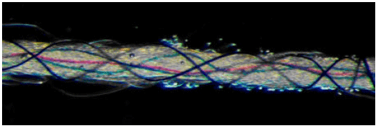 Image for - Migration Behaviour of Polyester/Viscose Blended Rotor Spun Yarns