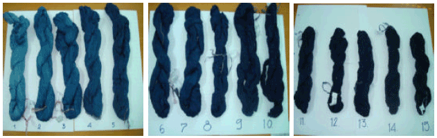 Image for - Development of Thai Textile Products from Bamboo Fiber Fabrics Dyed with Natural Indigo