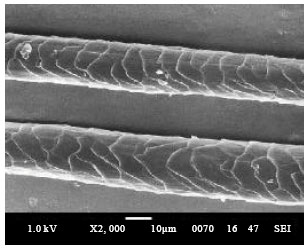 Image for - Eco-friendly Surface Modifications of Wool Fiber for its Improved Functionality:  An Overview