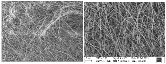 Image for - Influence of Process Parameters on Electrospun Nanofibre Morphology