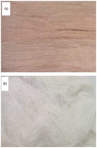 Image for - Investigating the Physical Properties of Treated and Untreated Jute Fibre-Polyester Composites
