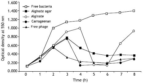 Image for - Effect of Coliphage Entrapment on its Interaction with the Host Bacterium