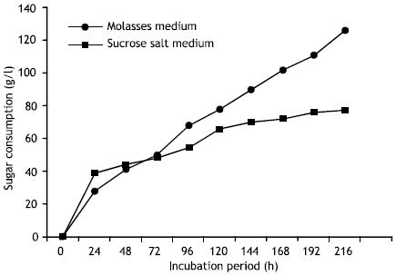 Image for - Selection of Fermentation for Citric Acid in Bioreactor