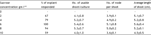 Image for - In vitro Shoot Multiplication of Chrysanthemum morifolium as Affected by Sucrose, Agar and pH