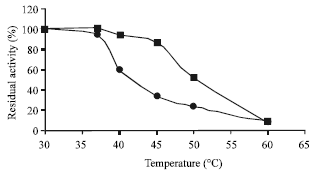 Image for - Immobilization of Penicillium citrinum Lipase on Ferromagnetic Azide-Dacron