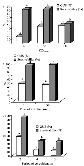 Image for - T-DNA Transfer and GUS Expression in Agrobacterium-mediated Transformation of C. annuum under a Range of in vitro Culture Conditions