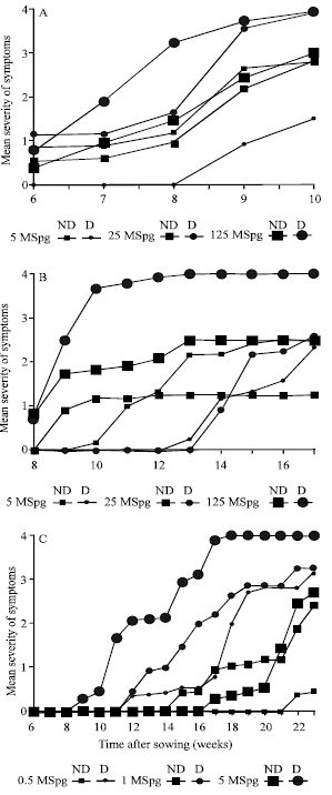 Image for - Production of Homogeneous and Viable Verticillium dahliae Microsclerotia Effective for Verticillium Wilt Studies