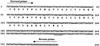 Image for - Isolation and Characterization of Three CDNAs Encoding CHH-family Peptides from the Crab Oziotelphusa senex senex