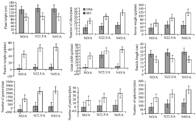Image for - Growth Regulator and Nitrogen Fertilization Effects on Performance and Nitrogen-Use Efficiency of Tall and Dwarf Varieties of Rice (Oryza sativa L.)