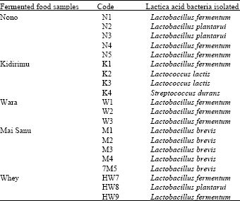 Image for - Antagonistic Activities of Lactic Acid Bacteria Isolated from Nigerian Fermented Dairy Food Against Organisms Implicated in Urinary Tract Infection