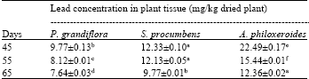 Image for - Perennial Plants in the Phytoremediation of Lead-contaminated Soils