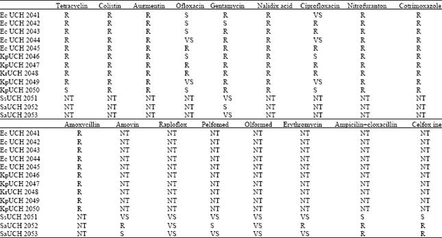 Image for - Antagonistic Activities of Lactic Acid Bacteria Isolated from Nigerian Fermented Dairy Food Against Organisms Implicated in Urinary Tract Infection