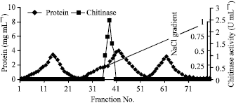 Image for - Evaluation of Antifungal Activity of Purified Chitinase 42 from Trichoderma atroviride PTCC5220