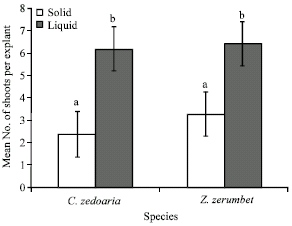Image for - Micropropagation of Curcuma zedoaria Roscoe and Zingiber zerumbet Smith