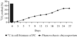 Image for - Degradation of Pentachlorophenol by White Rot Fungus (Phanerochaete chrysosporium-TL 1)  Grown in Ammonium Lignosulphonate Media
