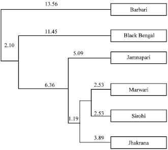 Image for - Genetic Diversity among Six Breeds of Indian Goat Using RAPD Markers