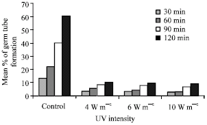 Image for - Influence of Various Ultraviolet Light Intensities on Pathogenic Determinants of Candida albicans
