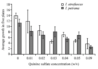 Image for - Effect of Increasing Concentrations of Quinine on the Volatile Compounds in Cultured Tissues of Iris atrofusca Baker and Iris petrana Dinsmore