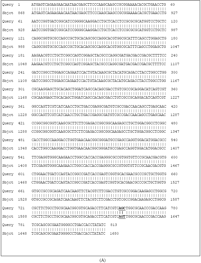 Image for - Cloning and Partial Sequencing of phac1 and phac2 Genes Encoding Poly (3-hydroxyalkanoate) Synthases from Pseudomonas aeroginusa PTCC 1310