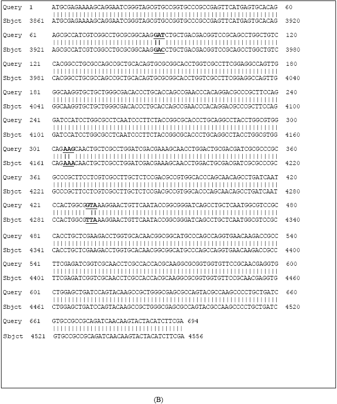 Image for - Cloning and Partial Sequencing of phac1 and phac2 Genes Encoding Poly (3-hydroxyalkanoate) Synthases from Pseudomonas aeroginusa PTCC 1310