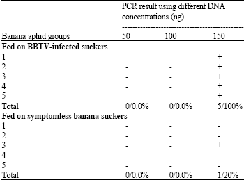 Image for - Use of Polymerase Chain Reaction for Detecting Banana Bunchy Top Nanovirus