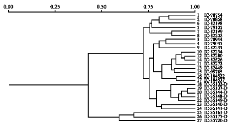 Image for - Phylogenetic Relationship to Study the Ploidy Status and Resistance to Karnal Bunt in Indian Wheat Cultivars Using RAPD Technique
