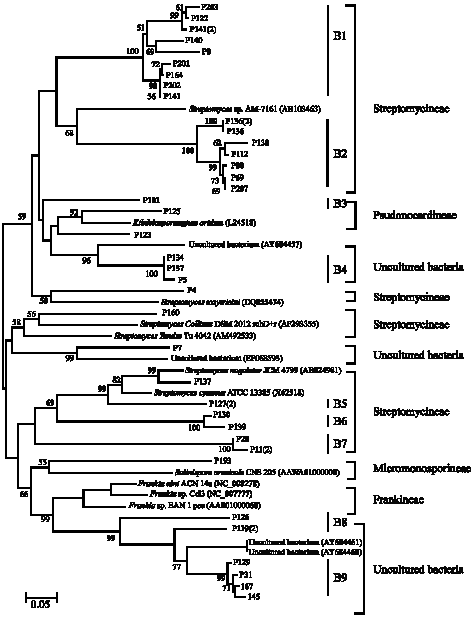 Image for - Phylogenetic Analysis of Type I and Type II Polyketide Synthase  from Tropical Forest Soil