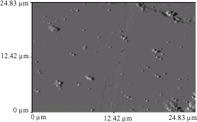 Image for - Generation of Selenium Containing Nano-Structures By Soil Bacterium, Pseudomonas aeruginosa