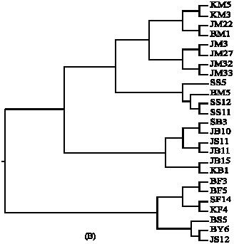Image for - Phylogenetic Diversity of Organophosphorous Pesticide-Degrading  Coral Bacteria from Mid-West Coast of Indonesia