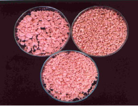 Image for - Effect of Plant Growth Regulators and Subculture Frequency on Callus Culture and the Establishment of Melastoma malabathricum Cell Suspension Cultures for the Production of Pigments