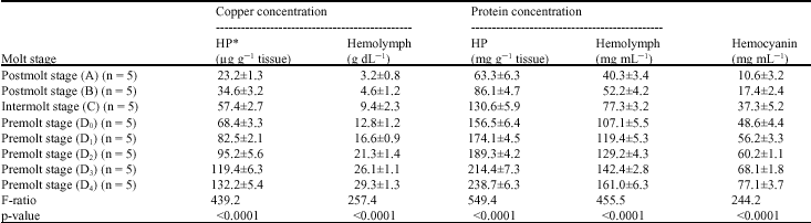 Image for - Changes of Copper and Protein Profiles in Hepatopancreas and Hemolymph Tissues During Different Molt Stages of White Shrimp, Litopenaeus vannamei (Boone, 1931)