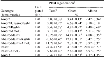 Image for - Combining Ability and Heritability of Callus Induction and Green-Plant Regeneration in Rice Anther Culture