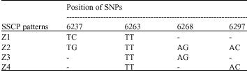 Image for - Characterization of SNPs of Bovine Prolcatin Gene of Holstein Cattle